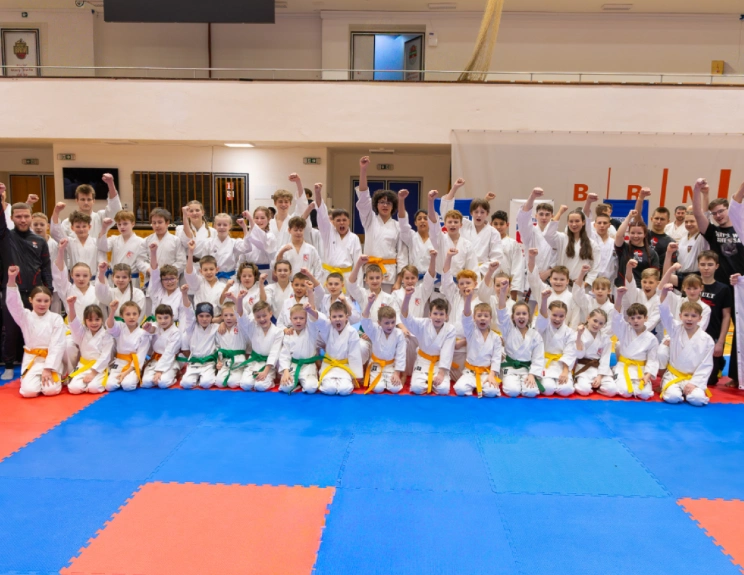 O společnosti Akademie karate Zlín, z.s.