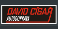 David Císař